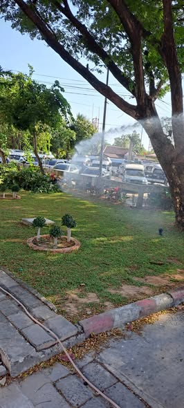 นำพนักงานออกฉีดรดน้ำต้นไม้บริเวณท่าเทียบเรืออำเภอเกาะพะงัน